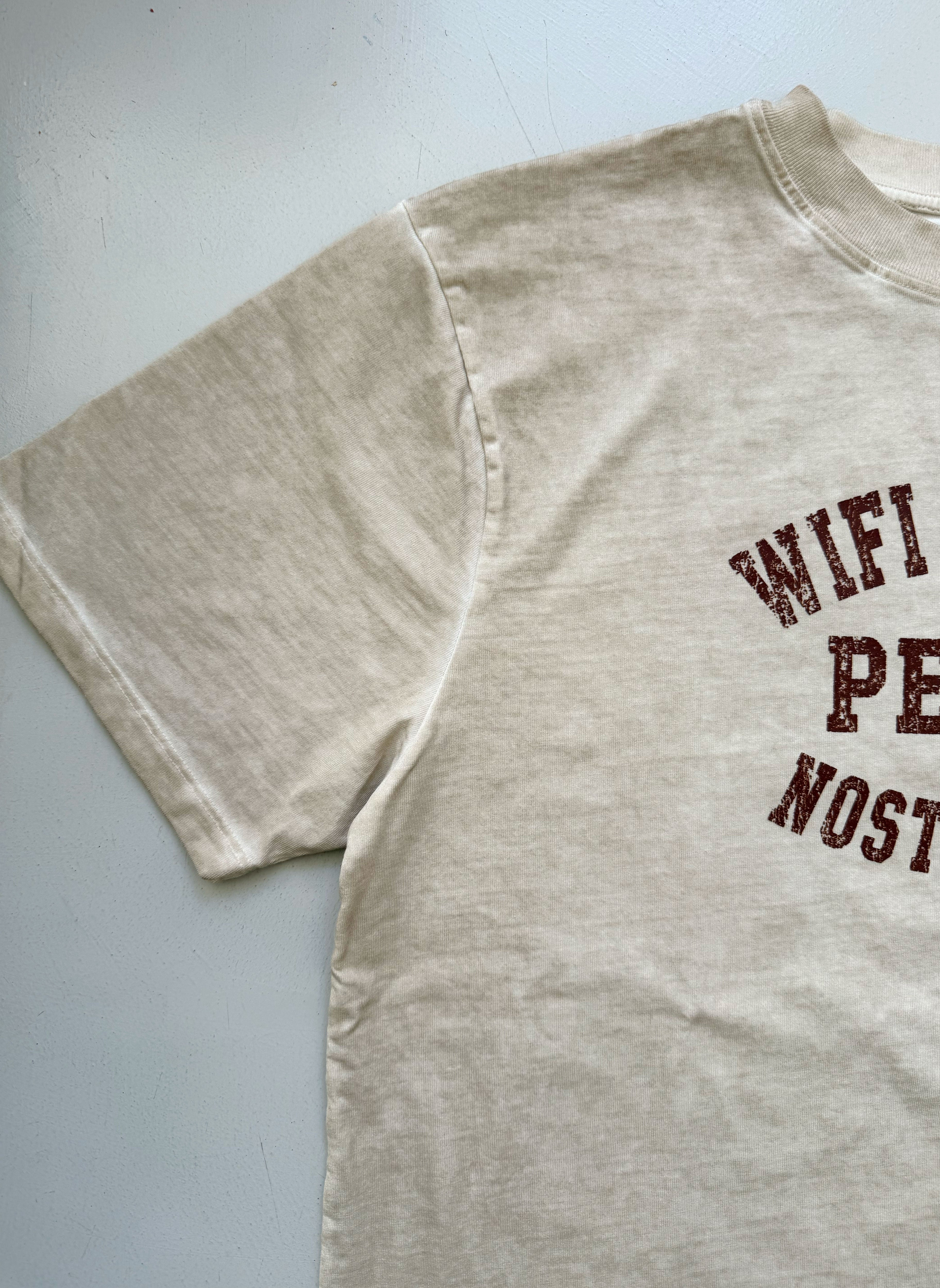 WIFI CHANGED PEOPLE T-Shirt - Sand faded